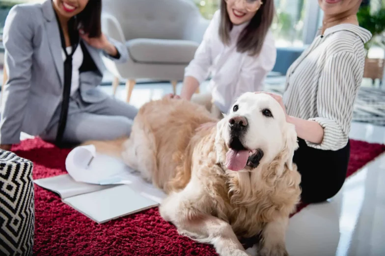 Default ALT text for Dogs-as-Healers-Dogs-as-Therapists
