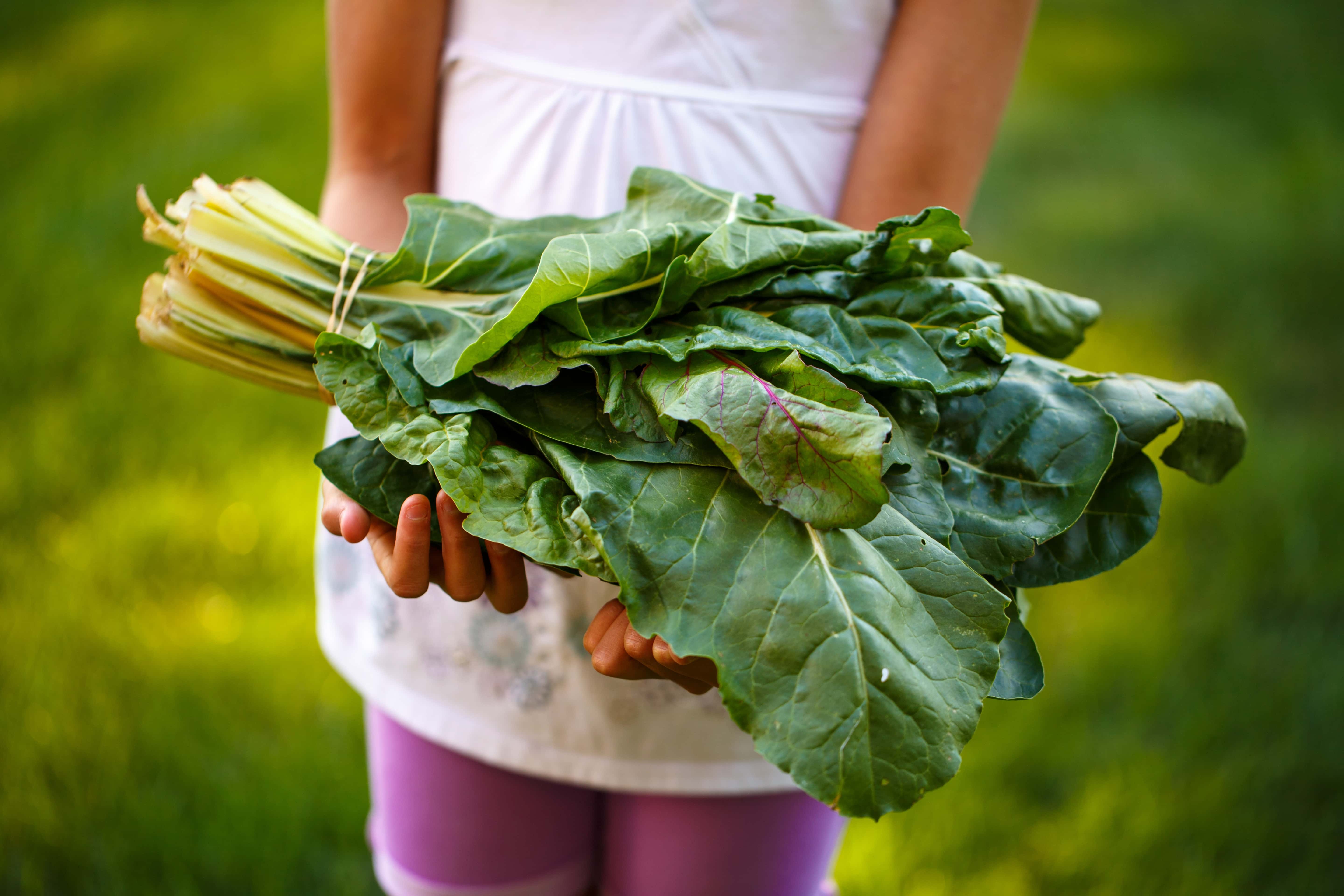Vegetables for Broth