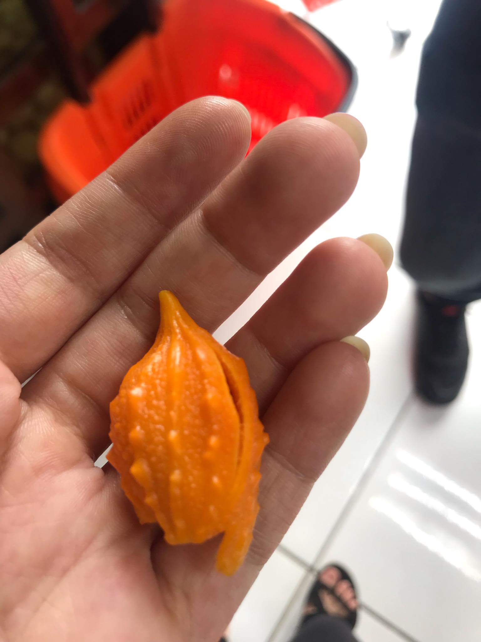 Bitter melon