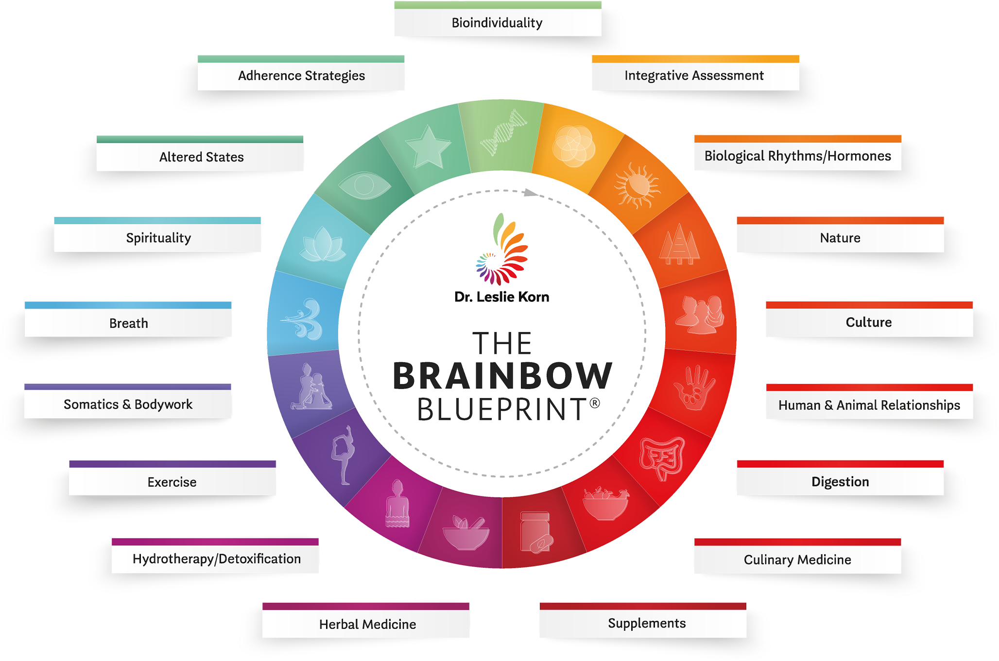Brainbow Image
