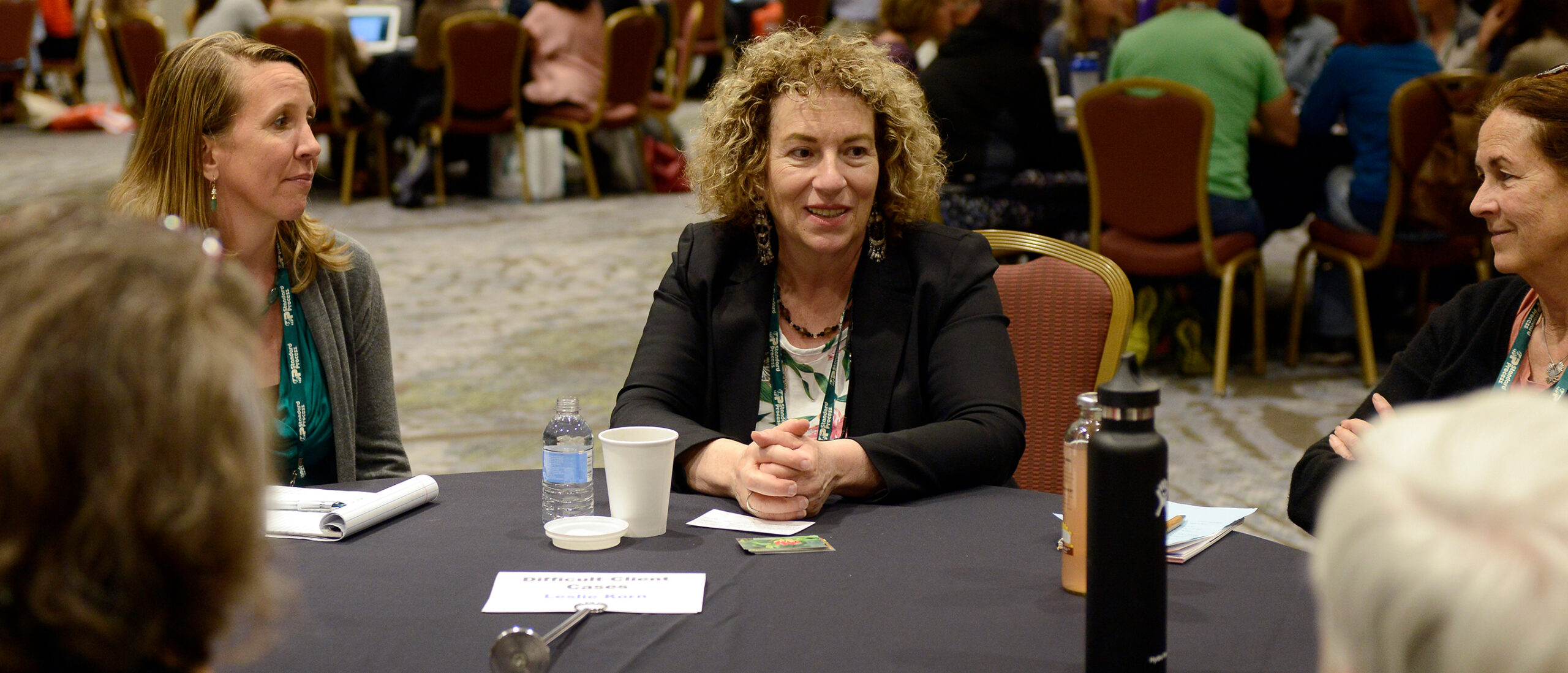dr-leslie-korn-coaching-supervision-integrative-medicine
