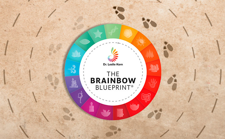 healing-roadmap-brainbow-blueprint