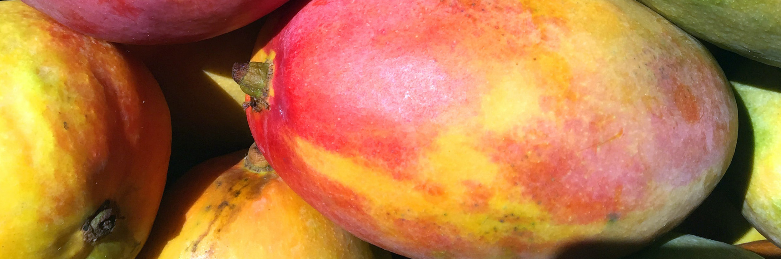 amchoor-mango-recipe