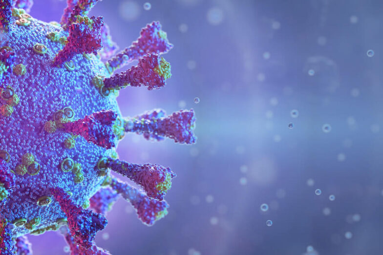 coronavirus-immunity