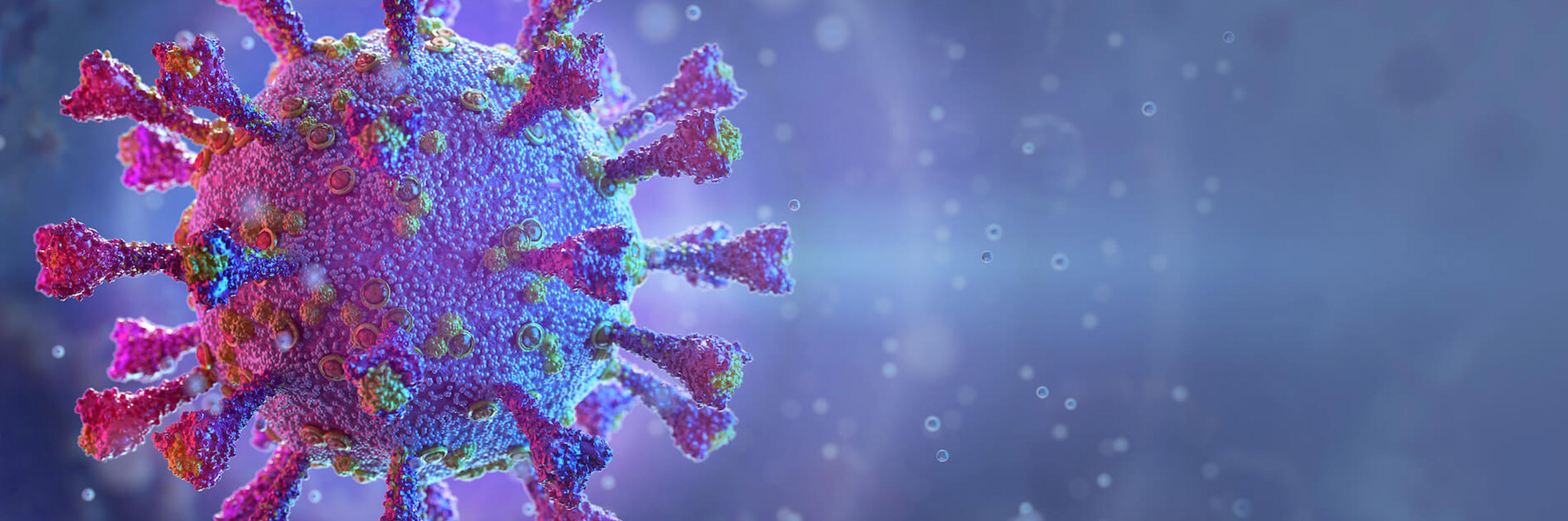 coronavirus-immunity