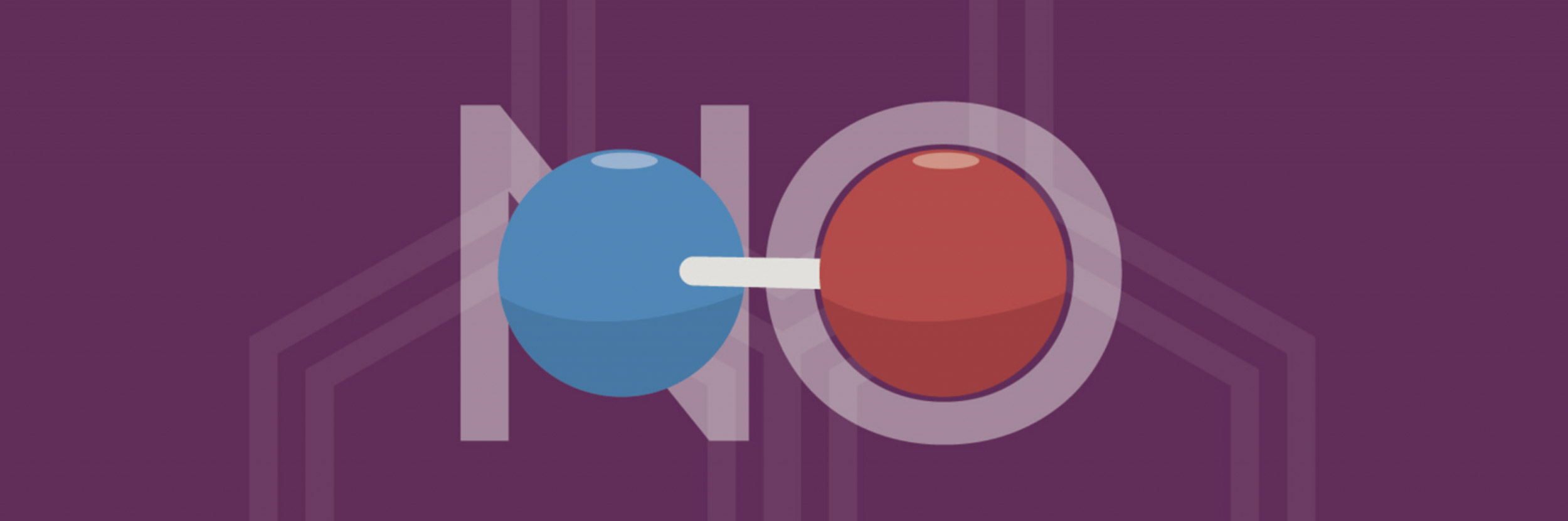 nitric-oxide
