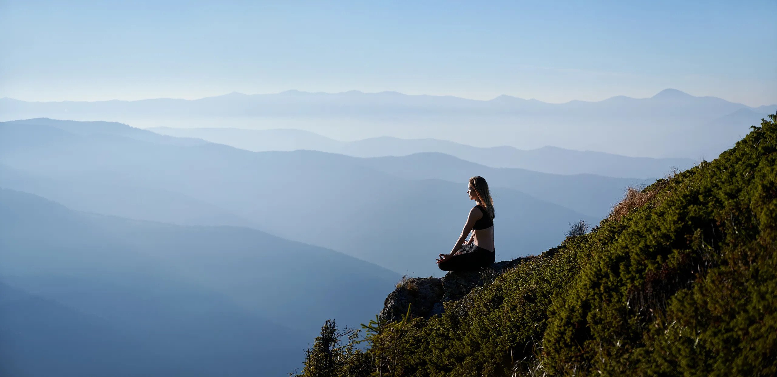 Brainbow Blueprint Meditation