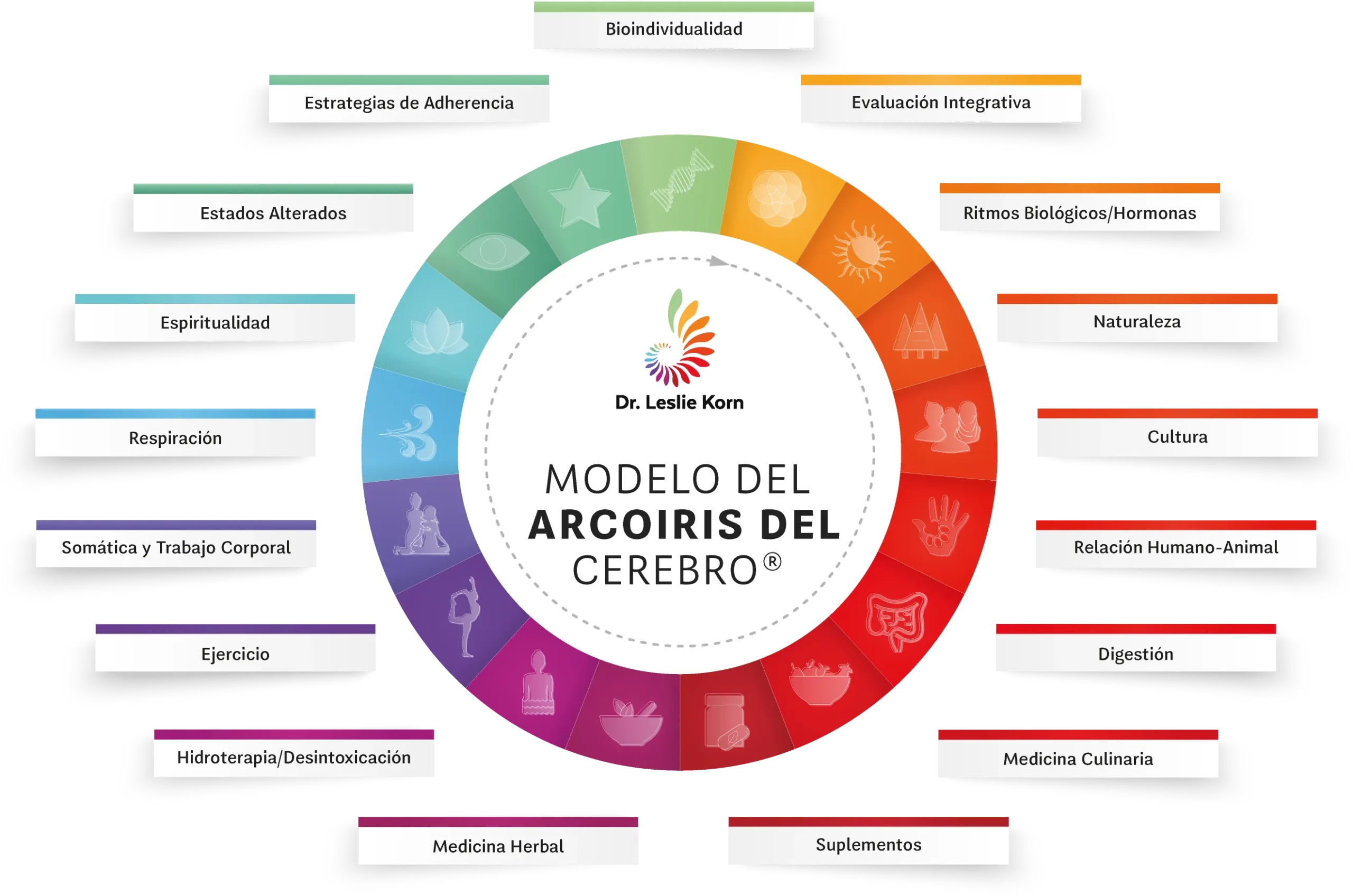 Modelo Arcoiris Cerebro Medicina Integrativa Scaled