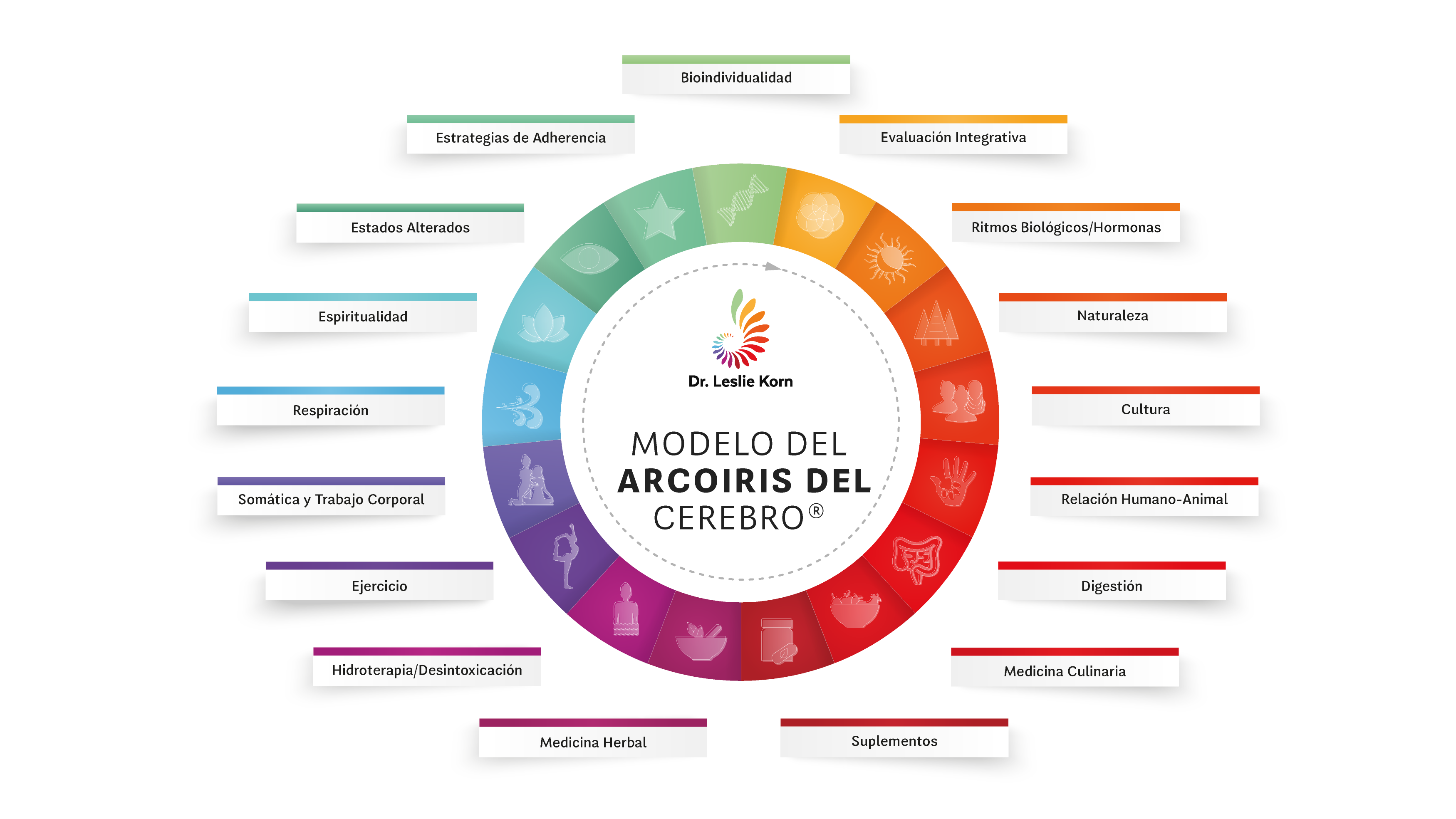 El Modelo del arcoiris del cerebro