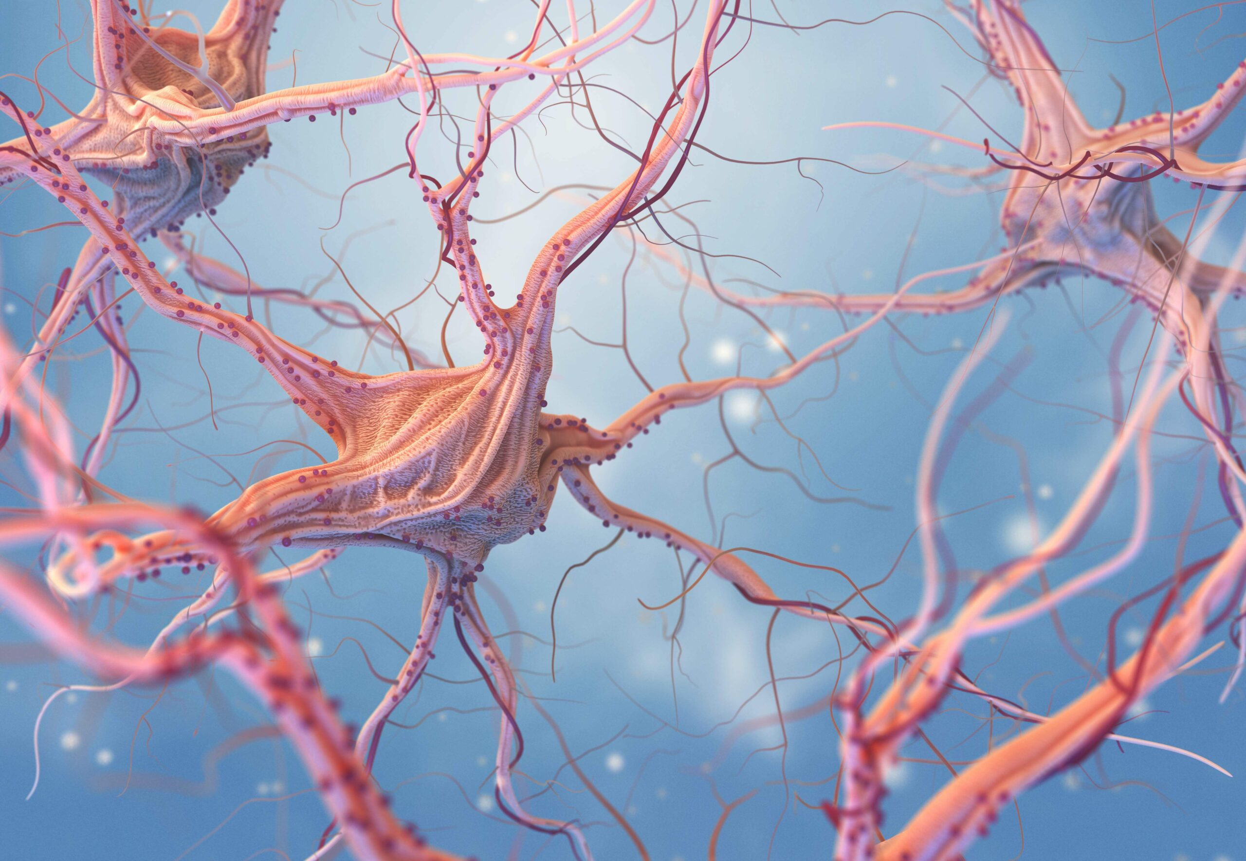 A-Narrative-Review-of-Psychobiotics_-Probiotics-That-Influence-the-Gut-Brain-Axis