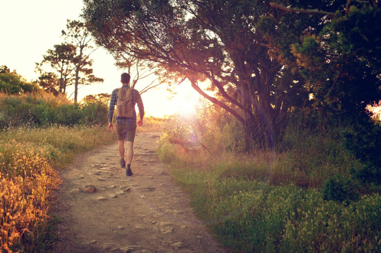 Walking in the wilderness