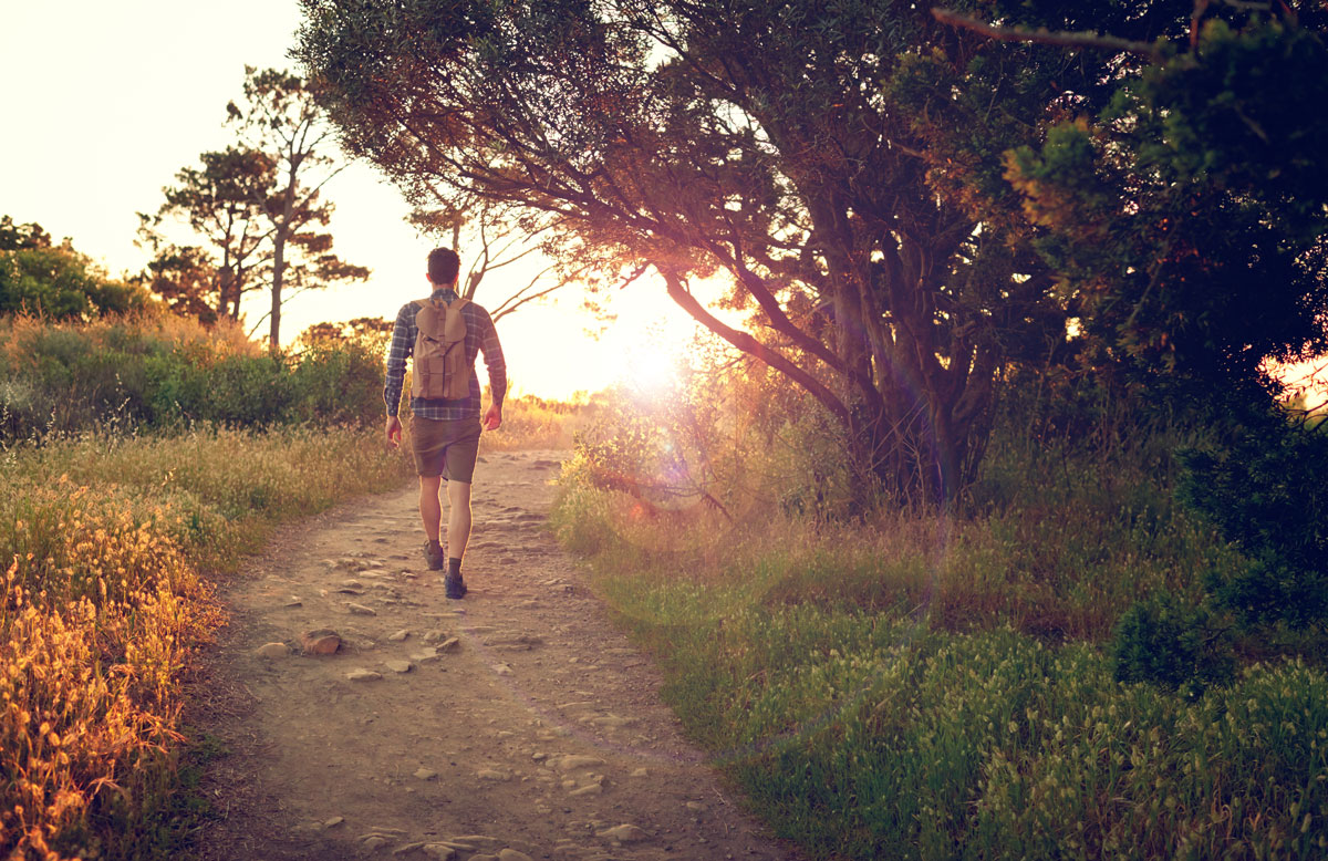 Walking in the wilderness