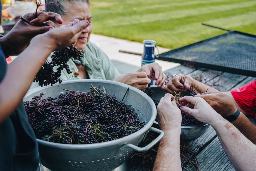 Traditional Medicine for Mental Health/Trauma