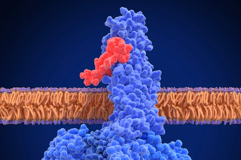 GLP-1 Agonists: A New Frontier in Brain and Metabolic Health