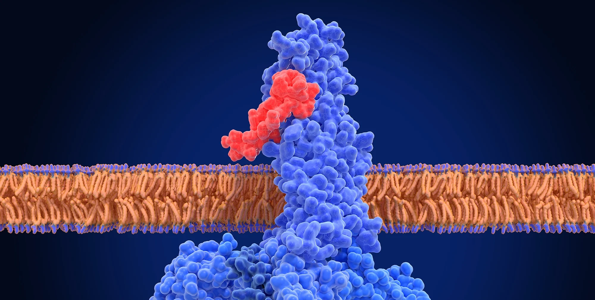 GLP-1 Agonists: A New Frontier in Brain and Metabolic Health